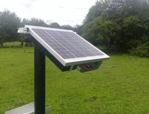 Cercas elétricas com energia solar: solução para regiões isoladas