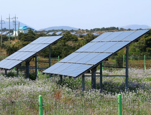 Benefícios da energia solar no agronegócio