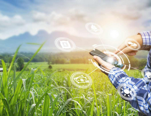 O papel da tecnologia na modernização do setor agropecuário: tendências e inovações