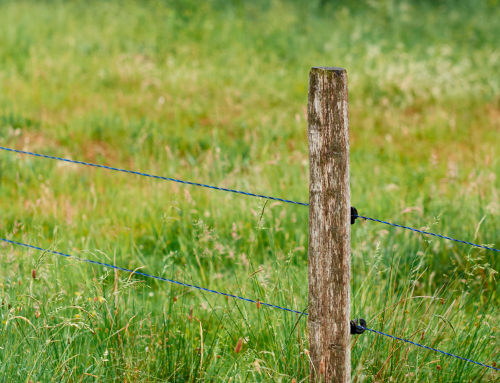 Fio de Fibra de Vidro: o que é e como usar na cerca elétrica rural