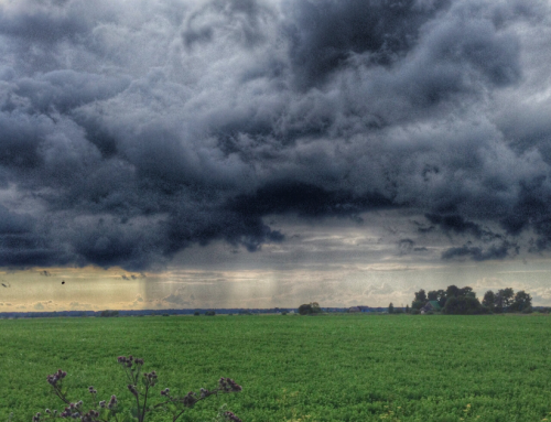 Efeitos climáticos: entenda como eles afetaram o agro e como se preparar para o futuro