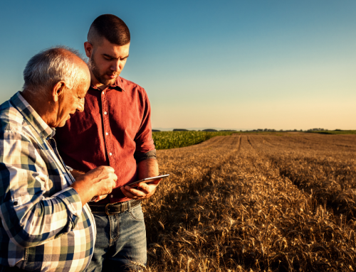 Sucessão Familiar na Agricultura: preparando as próximas gerações